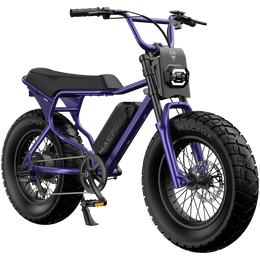 Macfox X7 Fat Tire Electric Bike
