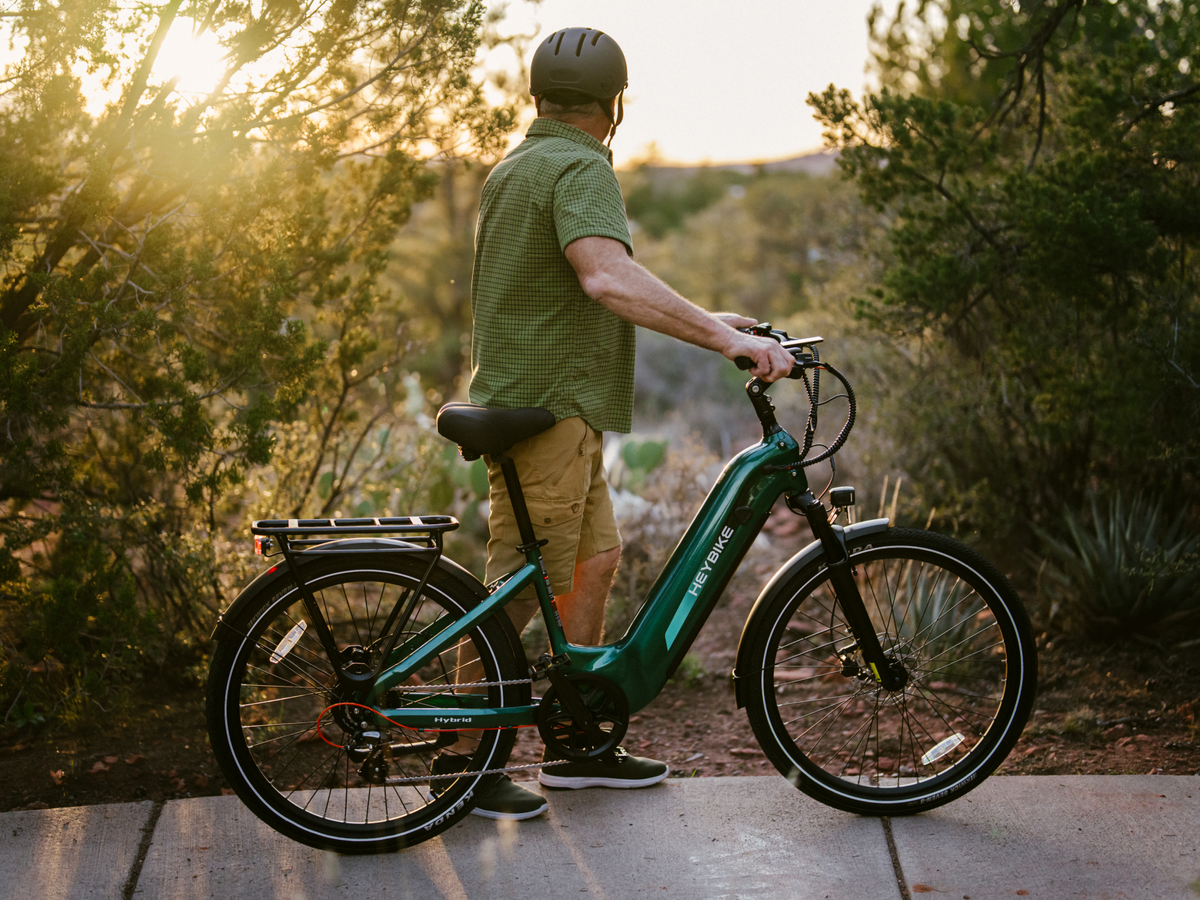 Heybike Hybrid, view 12