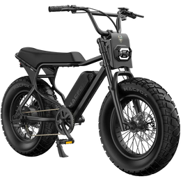 Macfox X7 Fat Tire Electric Bike