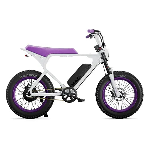 Macfox X1S x Bs.zay Limited Edition Electric Bike