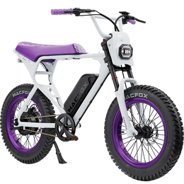 Macfox X1S x Bs.zay Limited Edition Electric Bike
