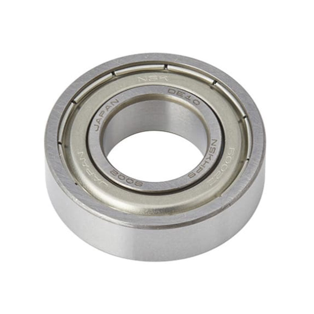 Bearing 6900
