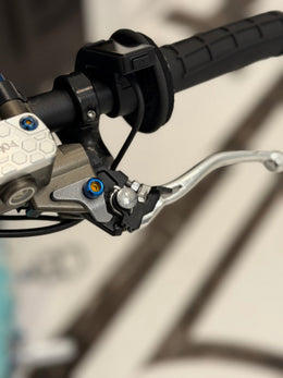 Titanium Brake Pivot Bolt, Sold Singly, burnt blue