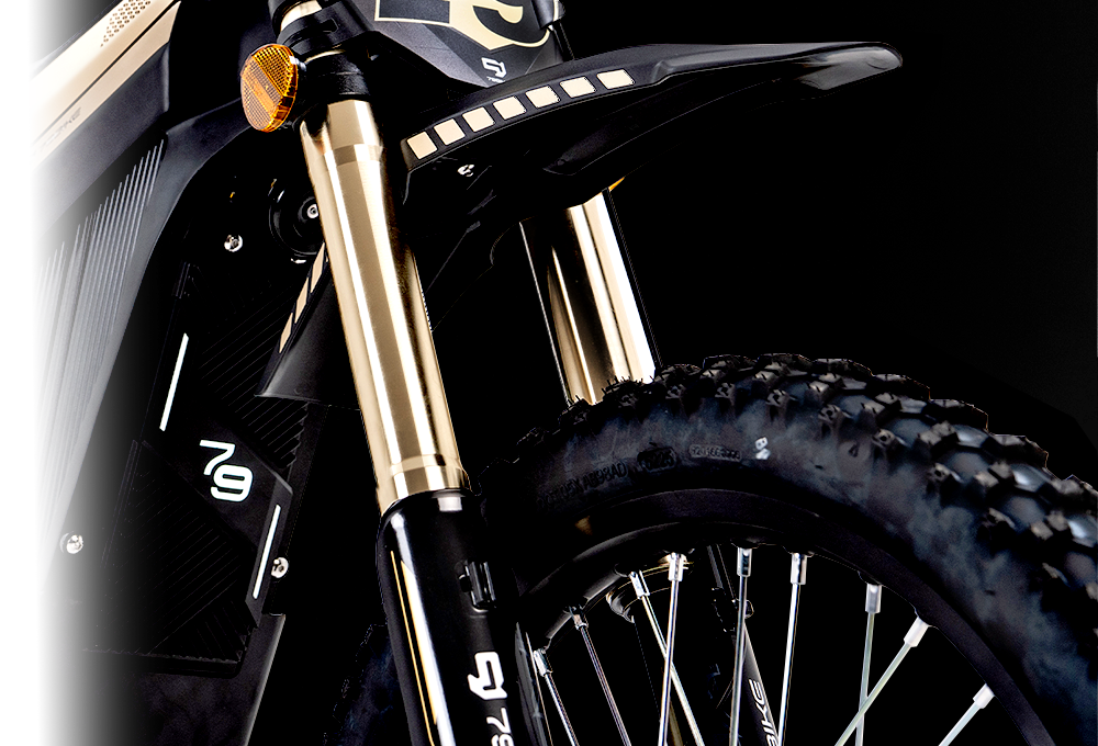 FastAce forks on a 6061 frame