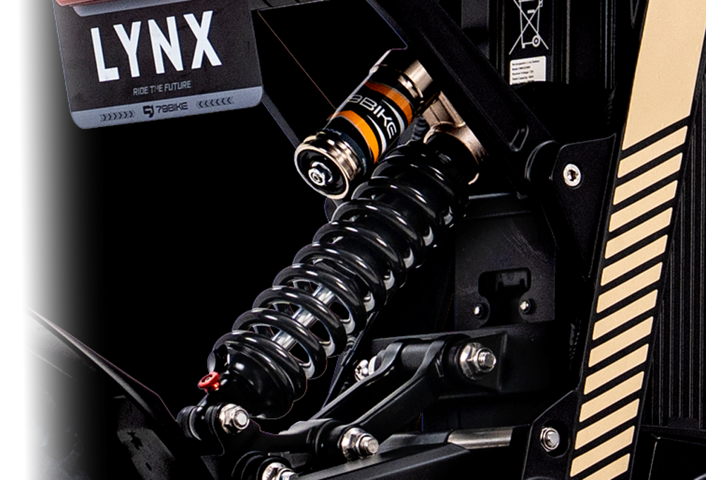85 mm at the rear, on a linkage swingarm