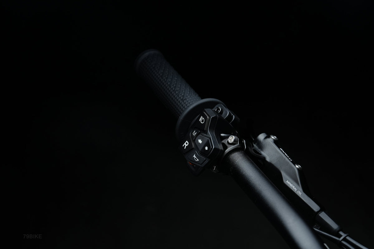 79BIKE Falcon Pro throttle and switchgear close-up