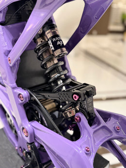 Titanium Linkage and Shock Bolt Kit, LBX, pink/purple