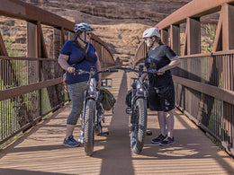 Heybike ALPHA, view 5