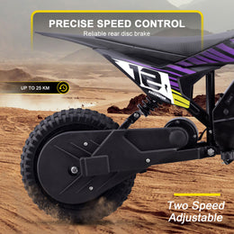 MotoTec 36v 300w (HP122E) Electric Dirt Bike