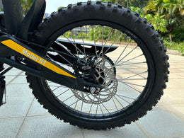 Natkie N1 rear wheel, swingarm and disc brake detail