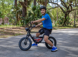 Droyd Blipper Electric Mini Bike in every colorway
