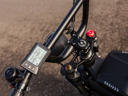 Freego Shotgun Prime F2 Pro display, brake lever and controls