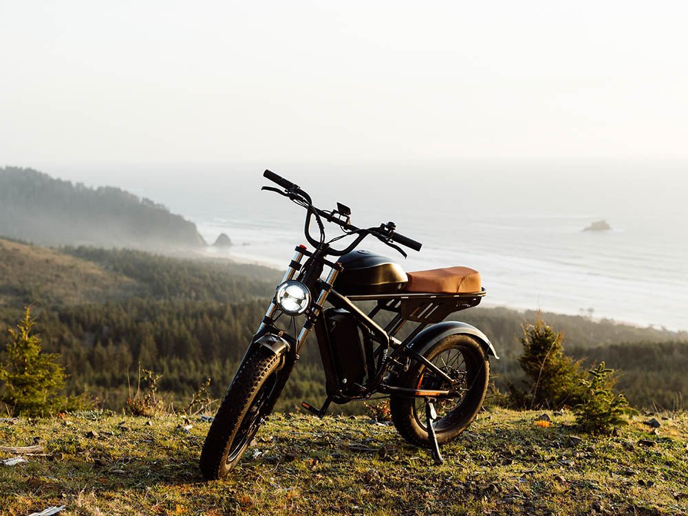 Freego Flash F3 Pro Max parked on a headland above the sea