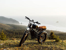 Freego Flash F3 Pro Max parked on a headland above the sea