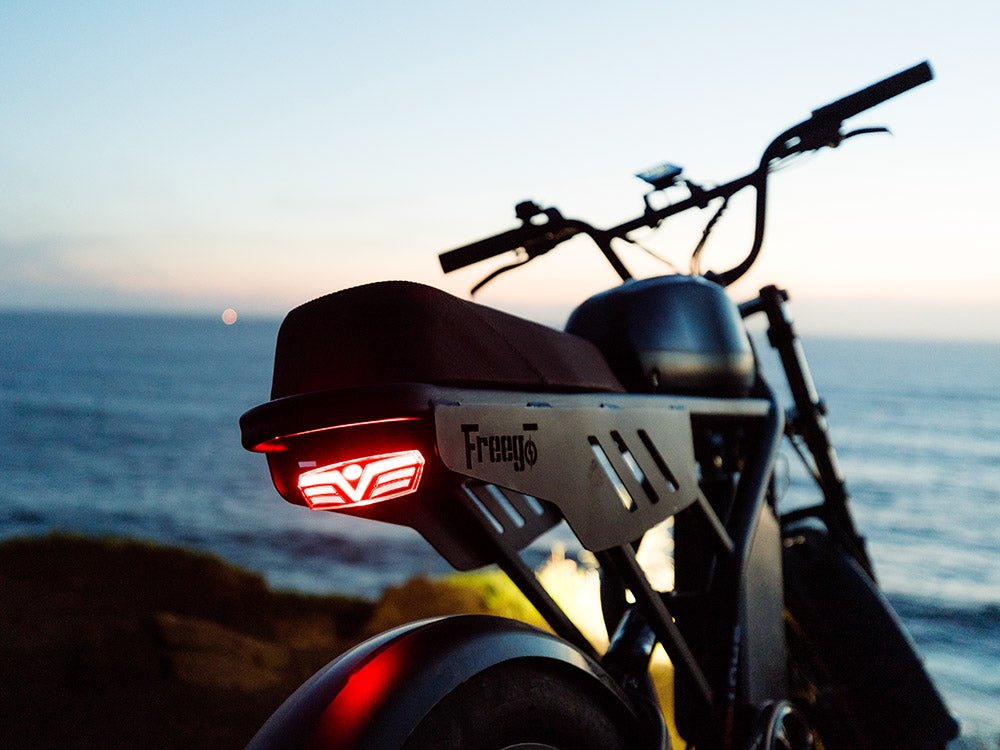 Freego Flash F3 Pro Max tail light and rear rack detail
