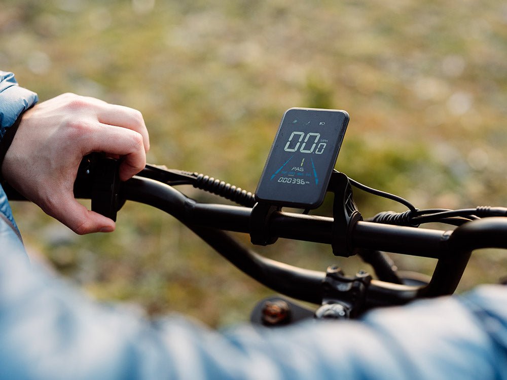 Freego Flash F3 Pro Max display and thumb throttle