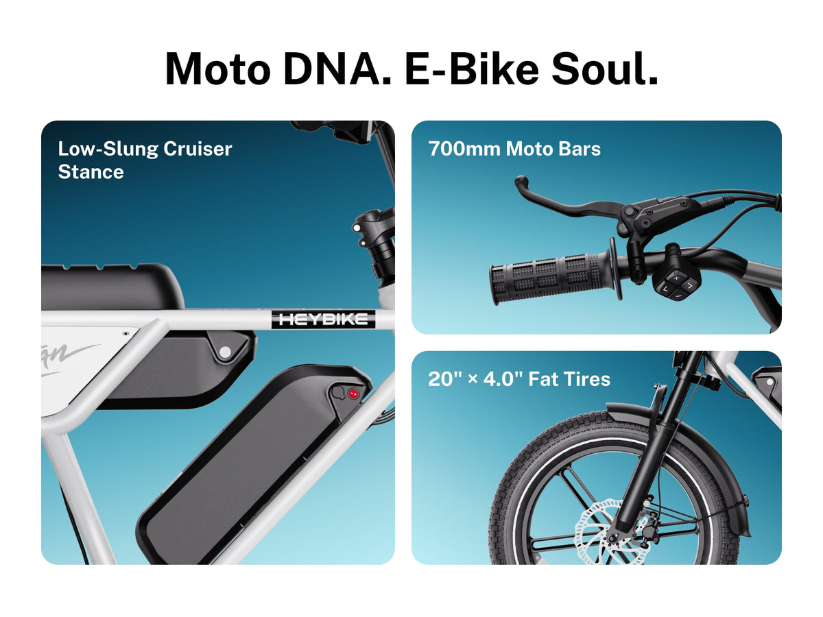 Heybike Titan, view 4