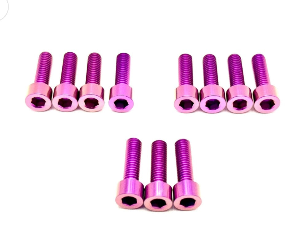 Titanium Fork Bolt Kit, 11 Pieces, pink/purple