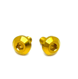Titanium Battery Tray Bolts (Set of Two) Surron, Segway, E-Ride Pro ·…, gold