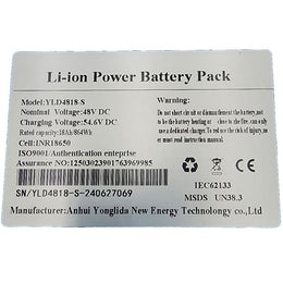 MotoTec Fury 48v 18ah Lithium Battery