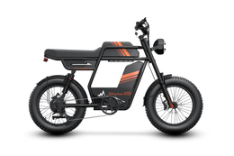 Riding'times GT33 cargo electric bike with dual batteries, studio profile