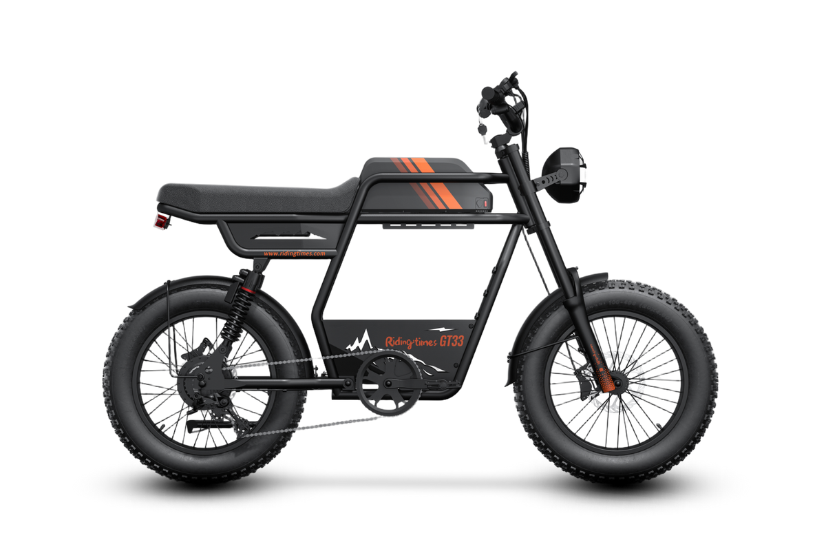 Riding'times GT33 cargo electric bike, single battery, studio profile