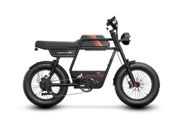 Riding'times GT33 cargo electric bike, single battery, studio profile