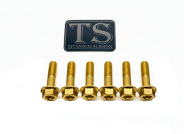 Altis Sigma Gearbox Cover Titanium Bolt Kit · Titanium Surron, view 6