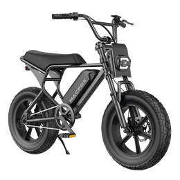 Macfox M16 Youth Electric Bike
