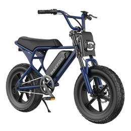 Macfox M16 Youth Electric Bike