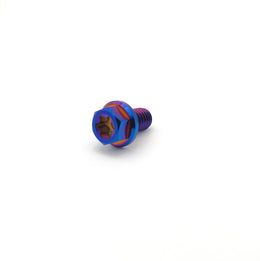 Warp 9 Titanium M6 Bolts