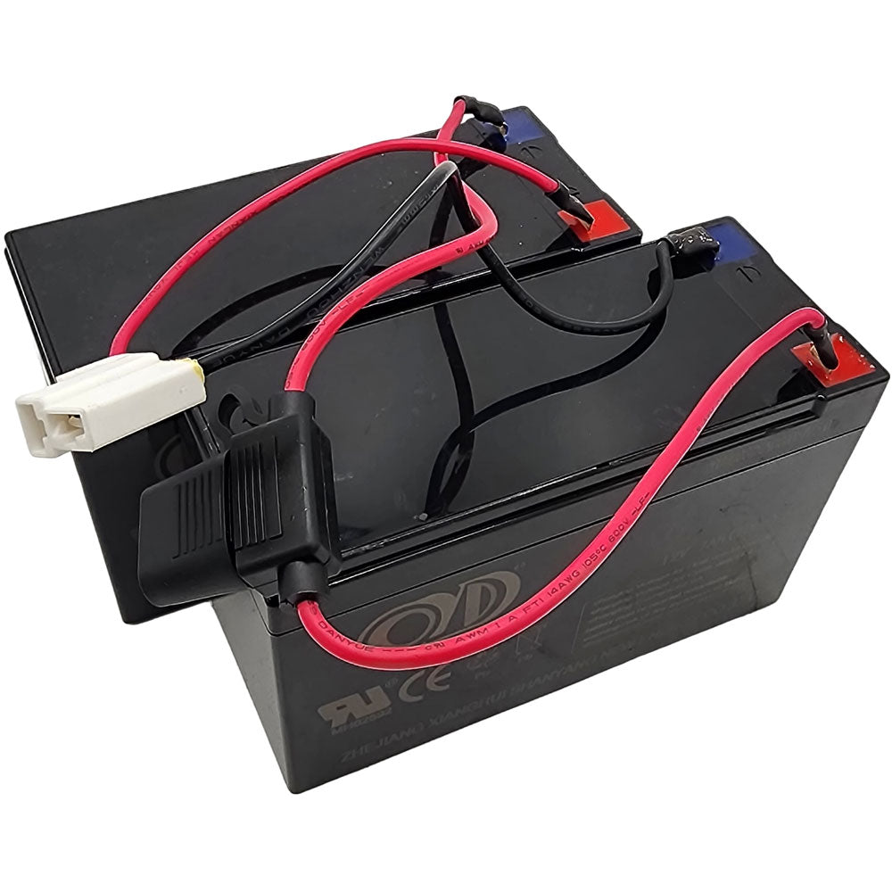 MotoTec 24v 250w (HP120e) Electric Mini Bike - Battery Pack