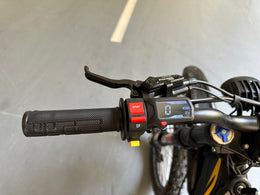 Natkie N1 handlebar, throttle and display detail