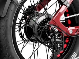 Heybike Ranger 3.0 Pro, view 5