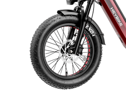 Heybike Ranger 3.0 Pro, view 10