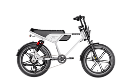 Heybike Titan in white