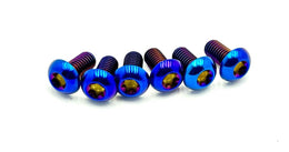 Titanium Bolts for Fork Plastics/ Guards (Most Forks) for E-Ride Pro SS, ultra bee