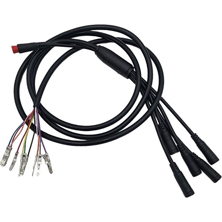 MotoTec Trike 1800w Wire Harness
