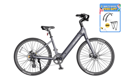 Heybike Venus in titanium gray, view 13