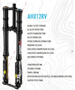 AHX12RV FastAce Gravitee Fork, view 5
