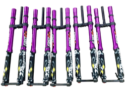 AHX12RV FastAce Gravitee Fork, purple 60lb