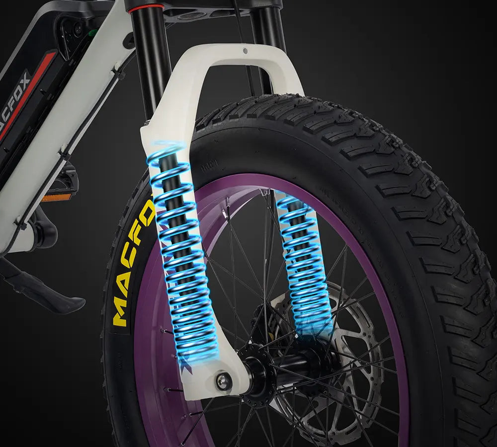 Macfox X1S x Bs.zay Limited Edition Electric Bike