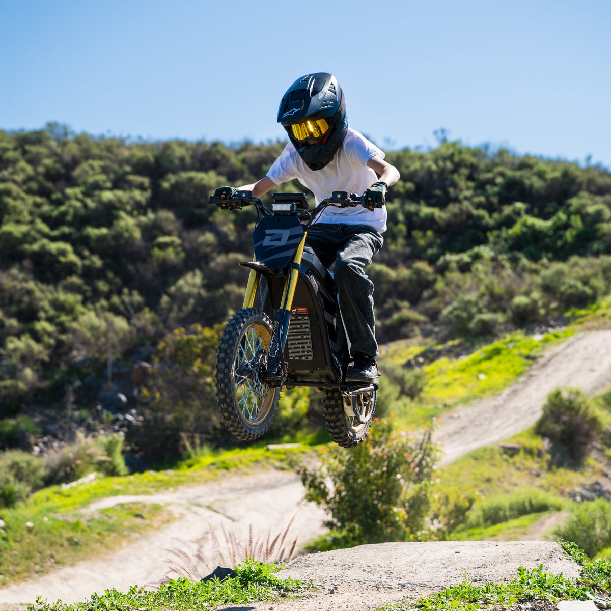 Droyd Berzerker Electric Dirt Bike in Midnight Black