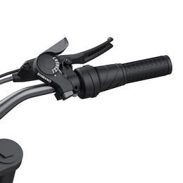 Coswheel R19 Shimano 7-speed shifter and grip