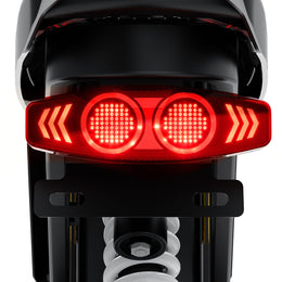 Coswheel R6000 tail light