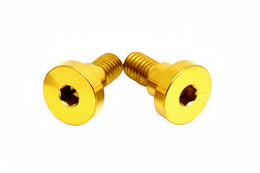 Titanium Battery Lid Bolts - E-Ride Pro -  (Two Pcs) · Titanium Surron, gold