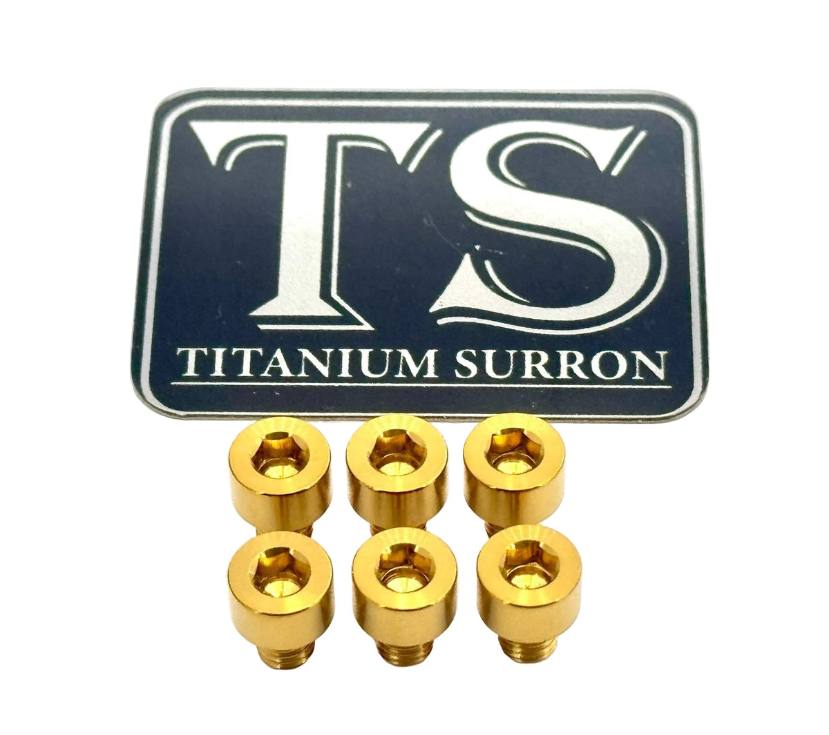 EBMX X9000 Heat Sink Titanium Bolt Kits (6) · Titanium Surron, gold