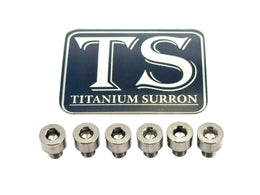 EBMX X9000 Heat Sink Titanium Bolt Kits (6) · Titanium Surron, silver (raw)