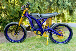 ALX13RC (2.0) FastAce Fork, view 4