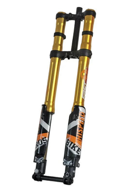 ALX13RC (2.0) FastAce Fork, view 3